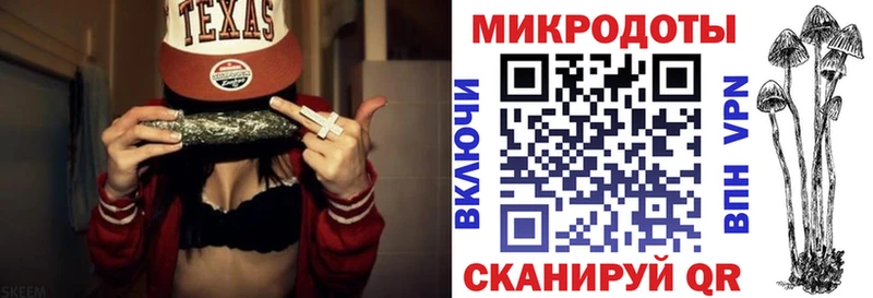 MEGA маркетплейс  Волхов  это Telegram  Псилоцибиновые грибы Psilocybine cubensis 
